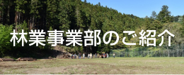 日本自動ドア林業事業部のご紹介